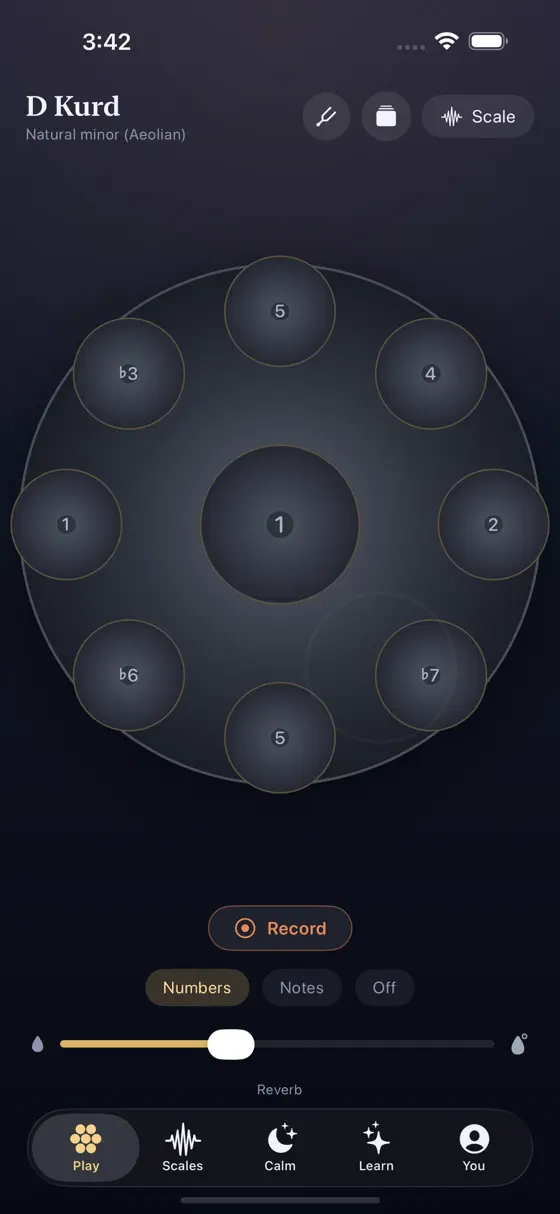 The playable Soloist Handpan D Kurd pan with numbered tone fields