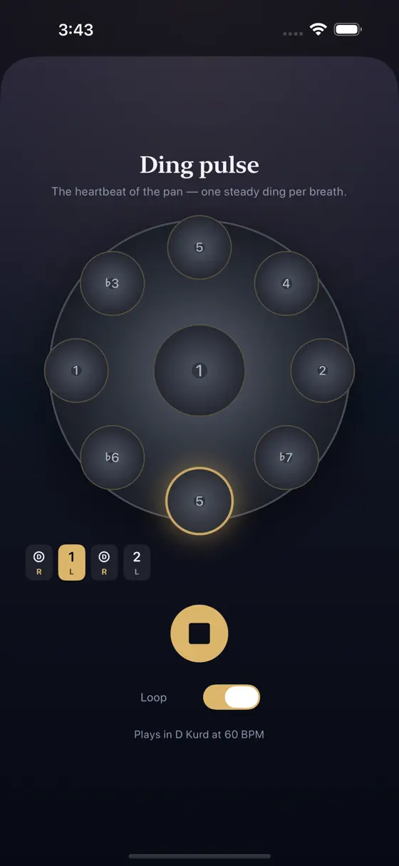 A Soloist Handpan Ding pulse lesson with a glowing tone field and loop